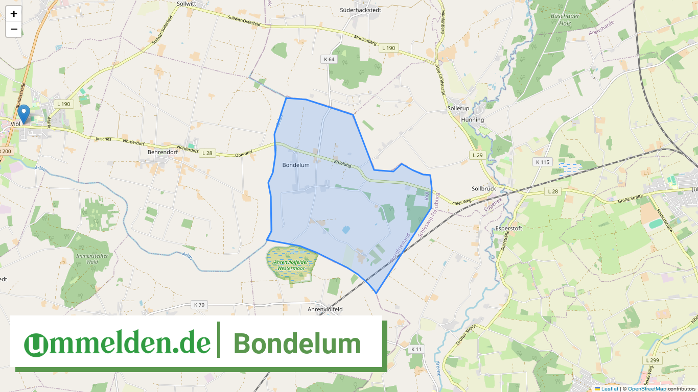 010545453013 Bondelum