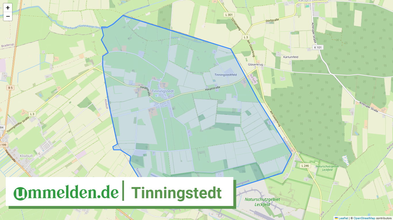 010545489136 Tinningstedt