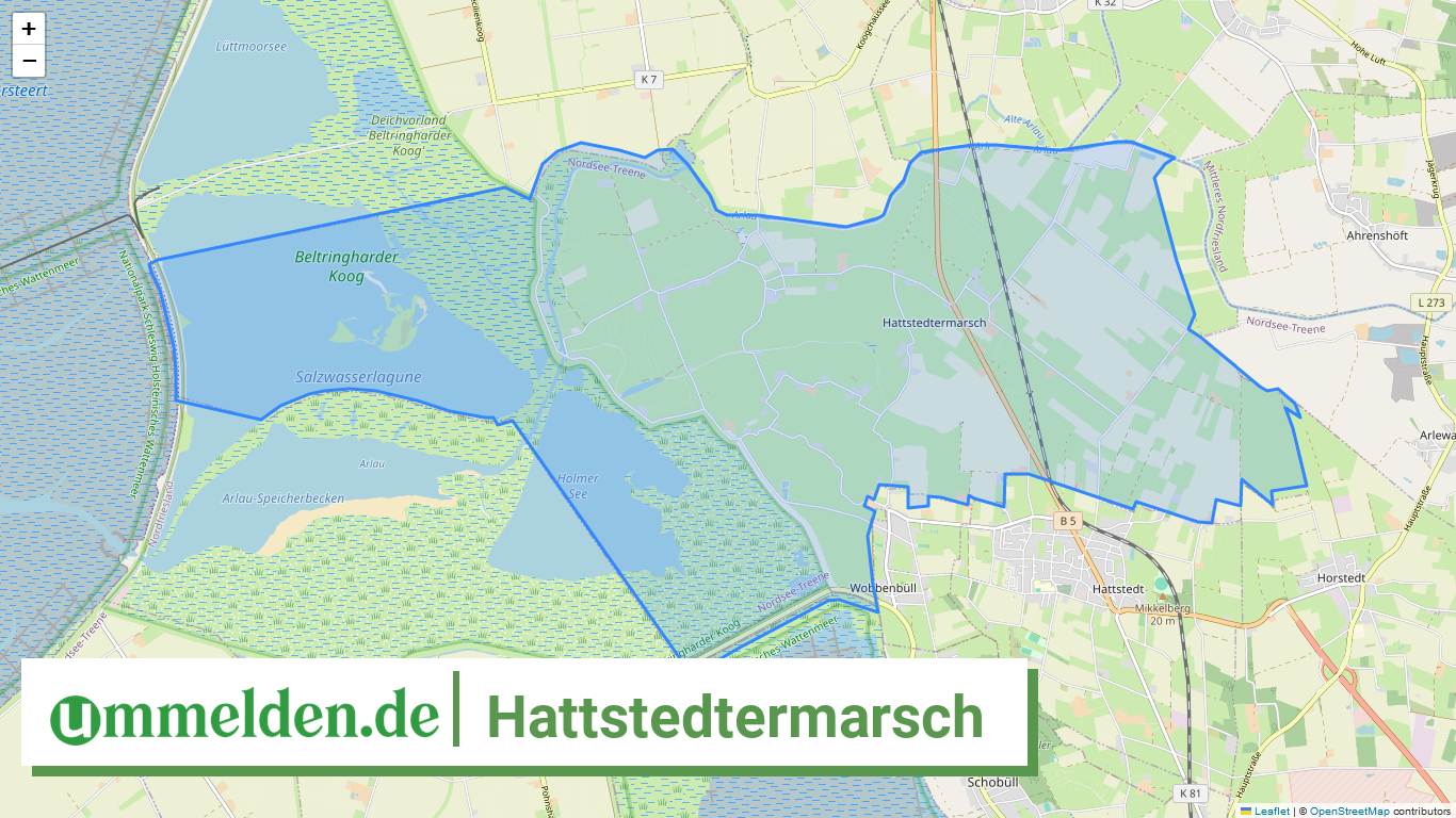 010545492043 Hattstedtermarsch