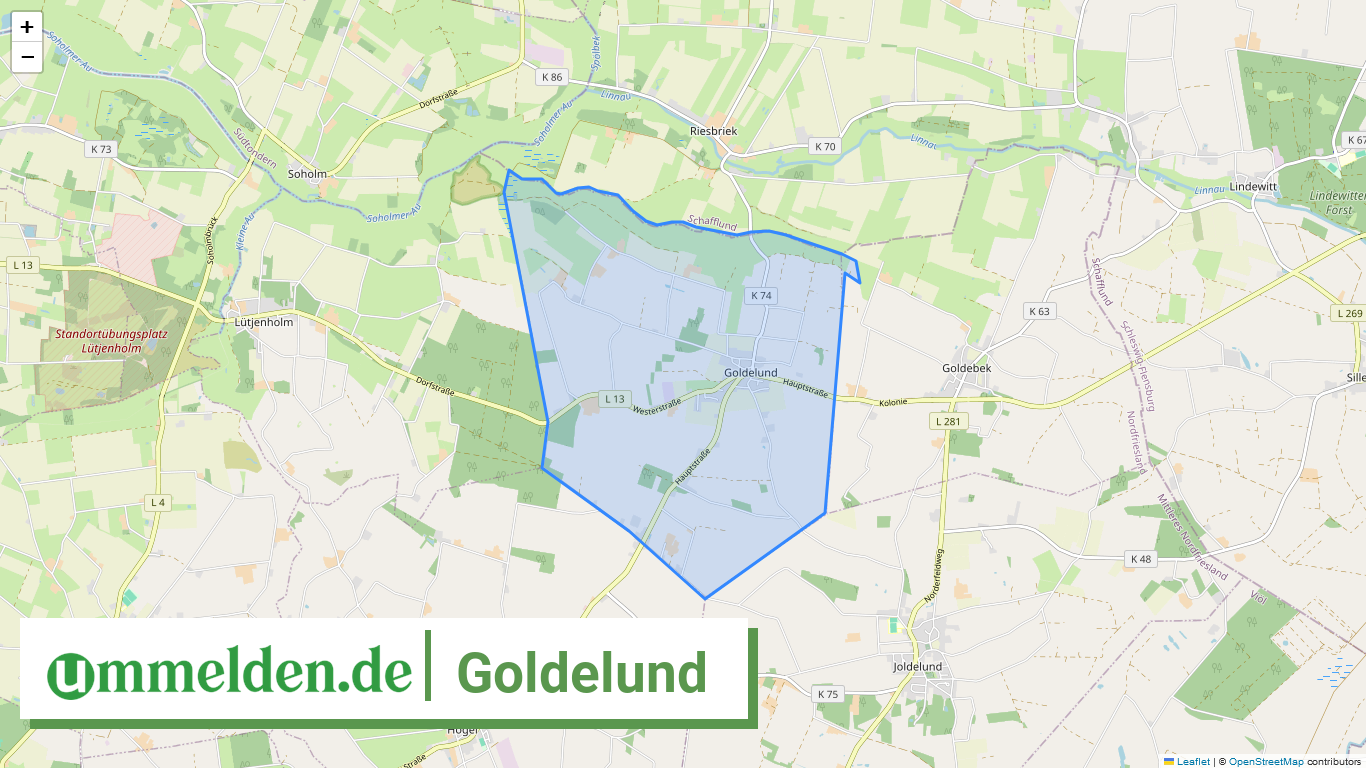 010545494038 Goldelund