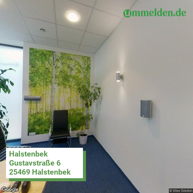 010560018018 streetview amt Halstenbek