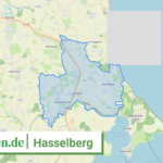 010595990121 Hasselberg