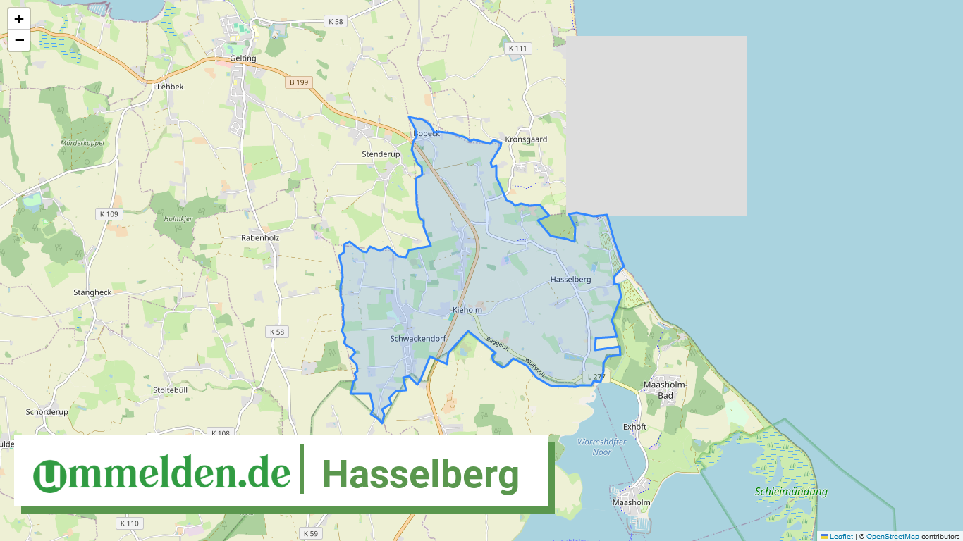 010595990121 Hasselberg