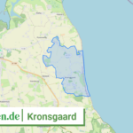 010595990136 Kronsgaard