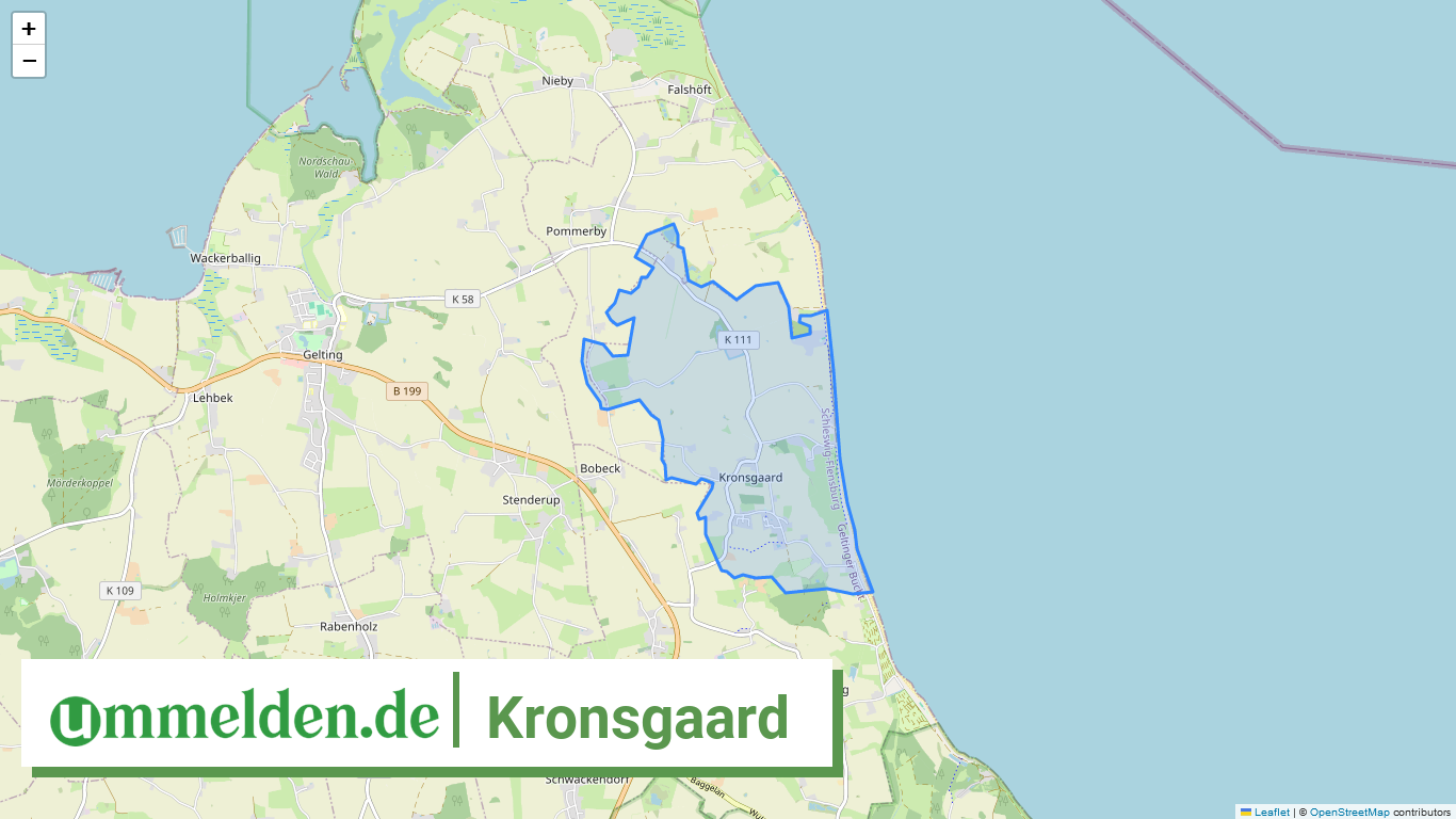 010595990136 Kronsgaard