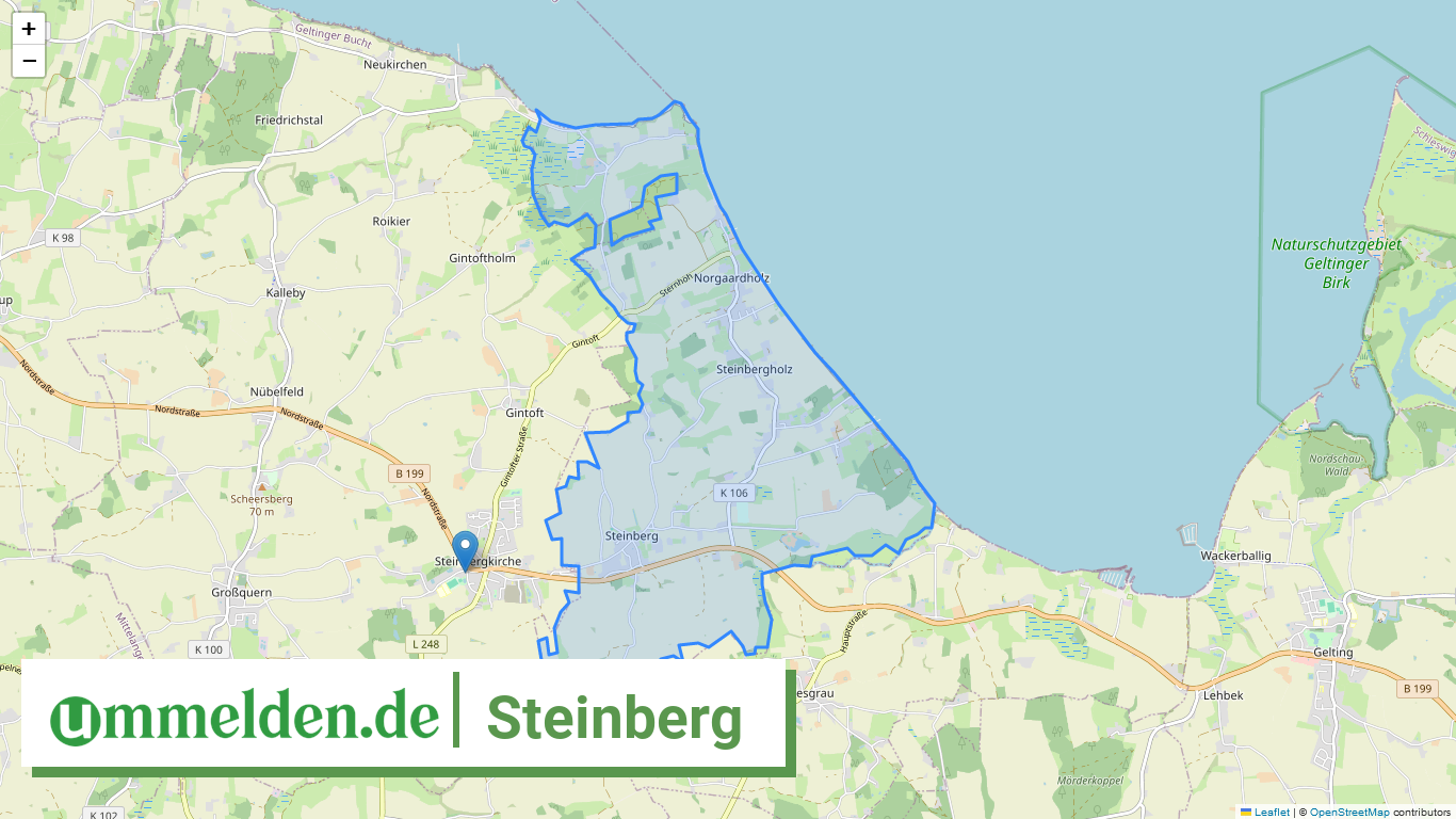 010595990164 Steinberg