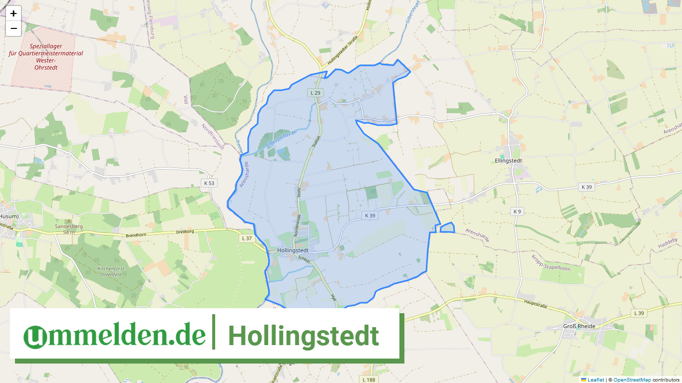 010595993039 Hollingstedt