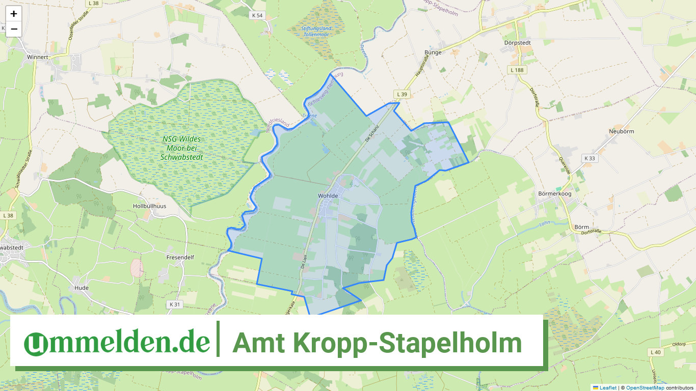 010595996 Amt Kropp Stapelholm