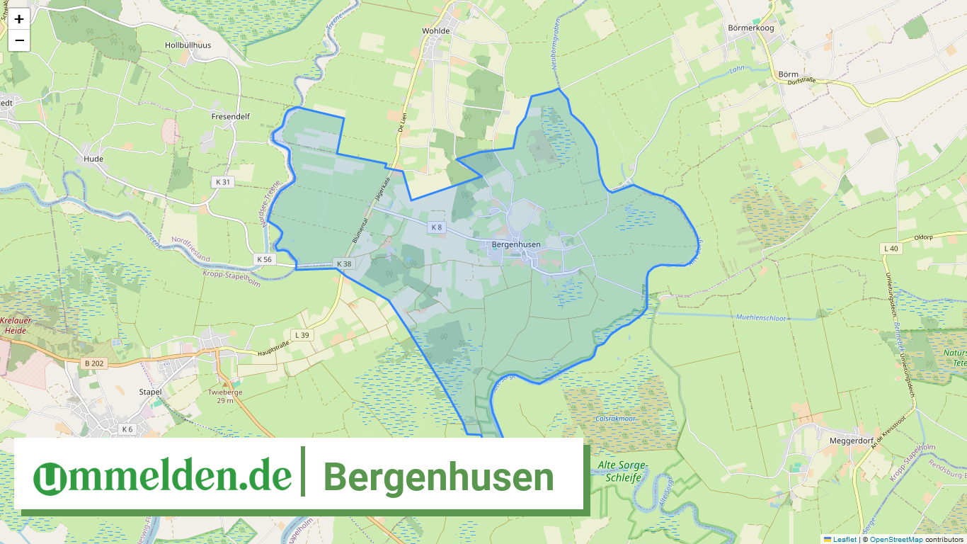 010595996005 Bergenhusen