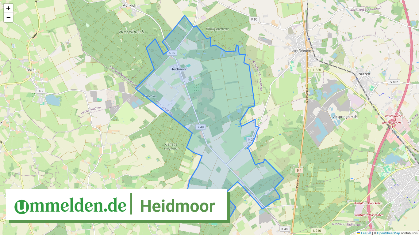 010605005037 Heidmoor