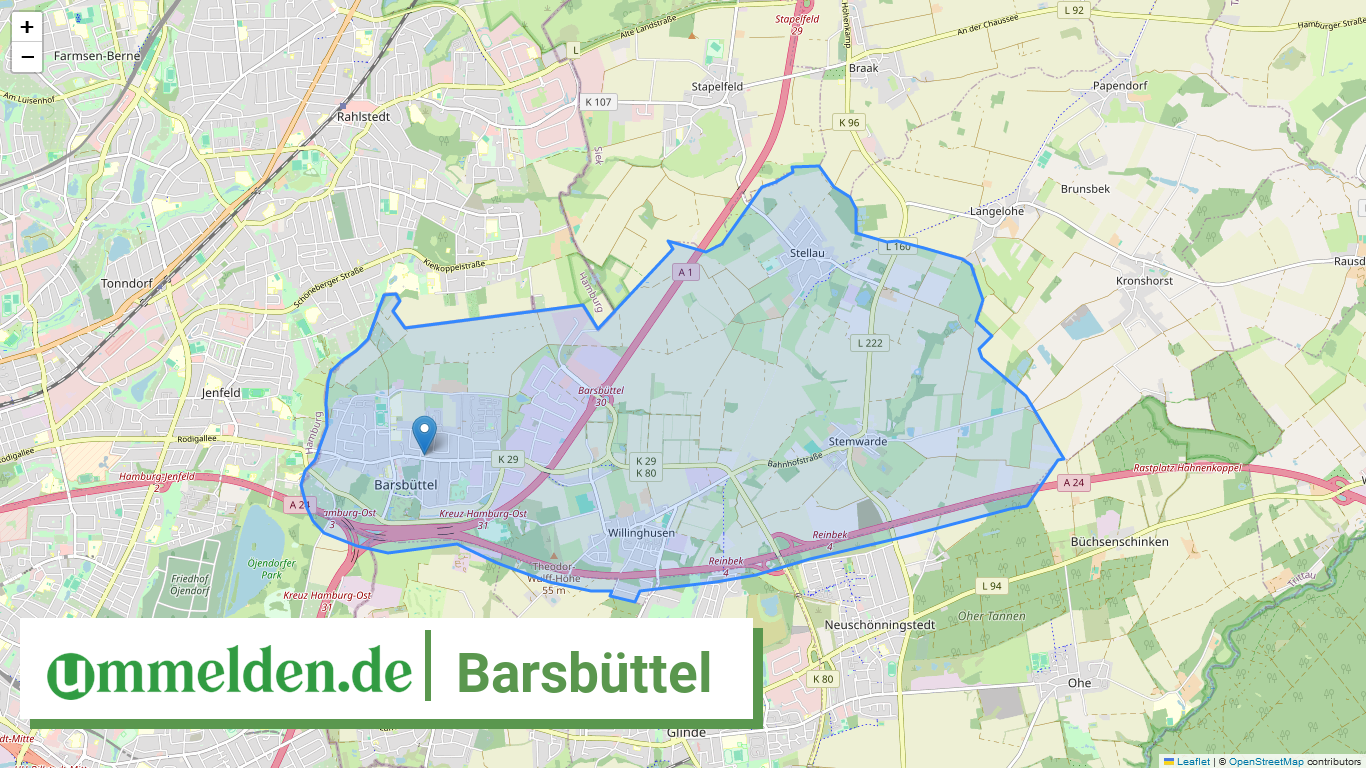 010620009009 Barsbuettel