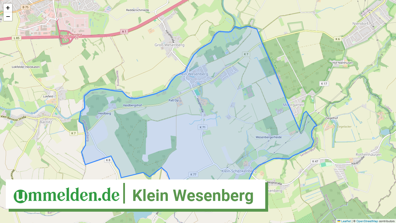 010625244039 Klein Wesenberg