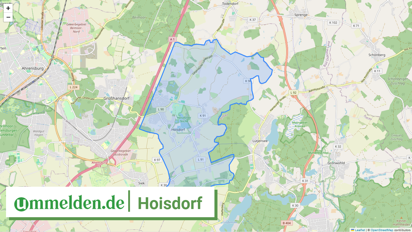 010625262035 Hoisdorf