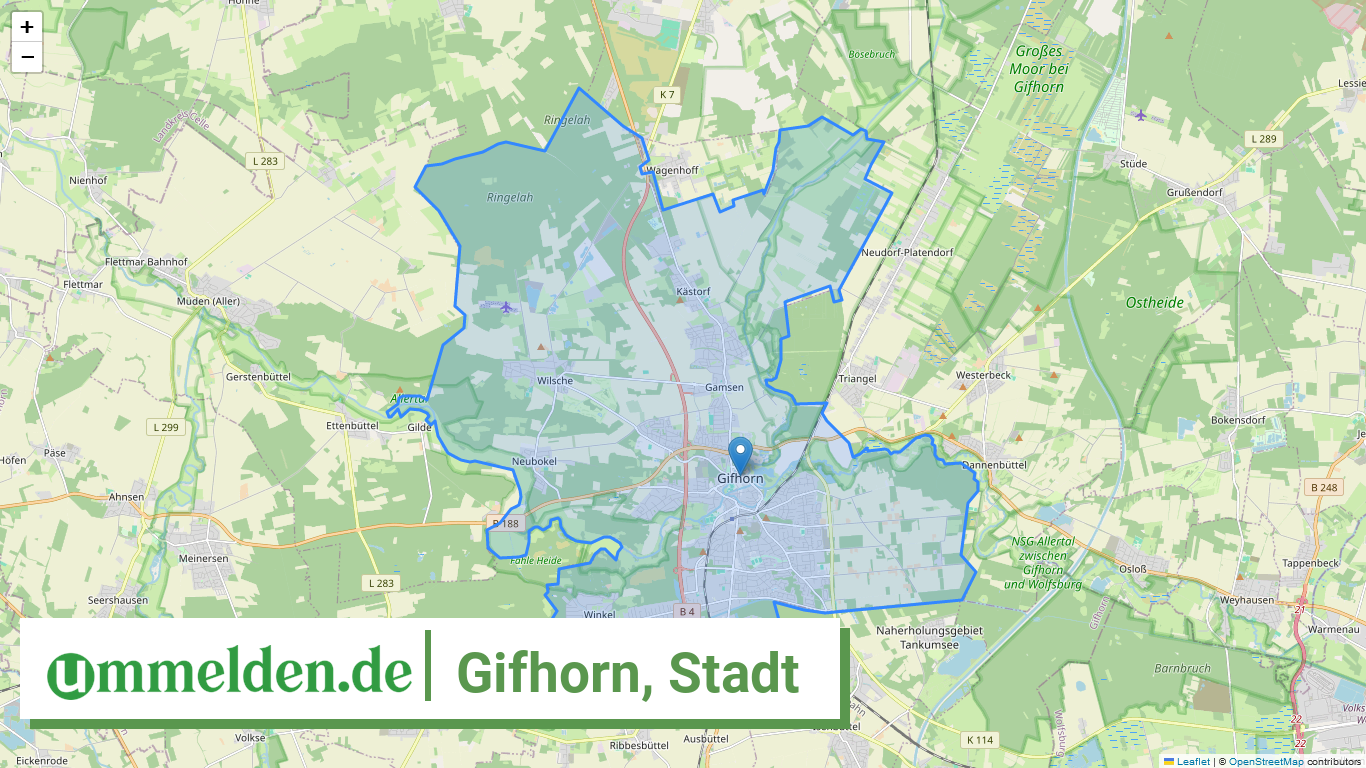 031510009009 Gifhorn Stadt
