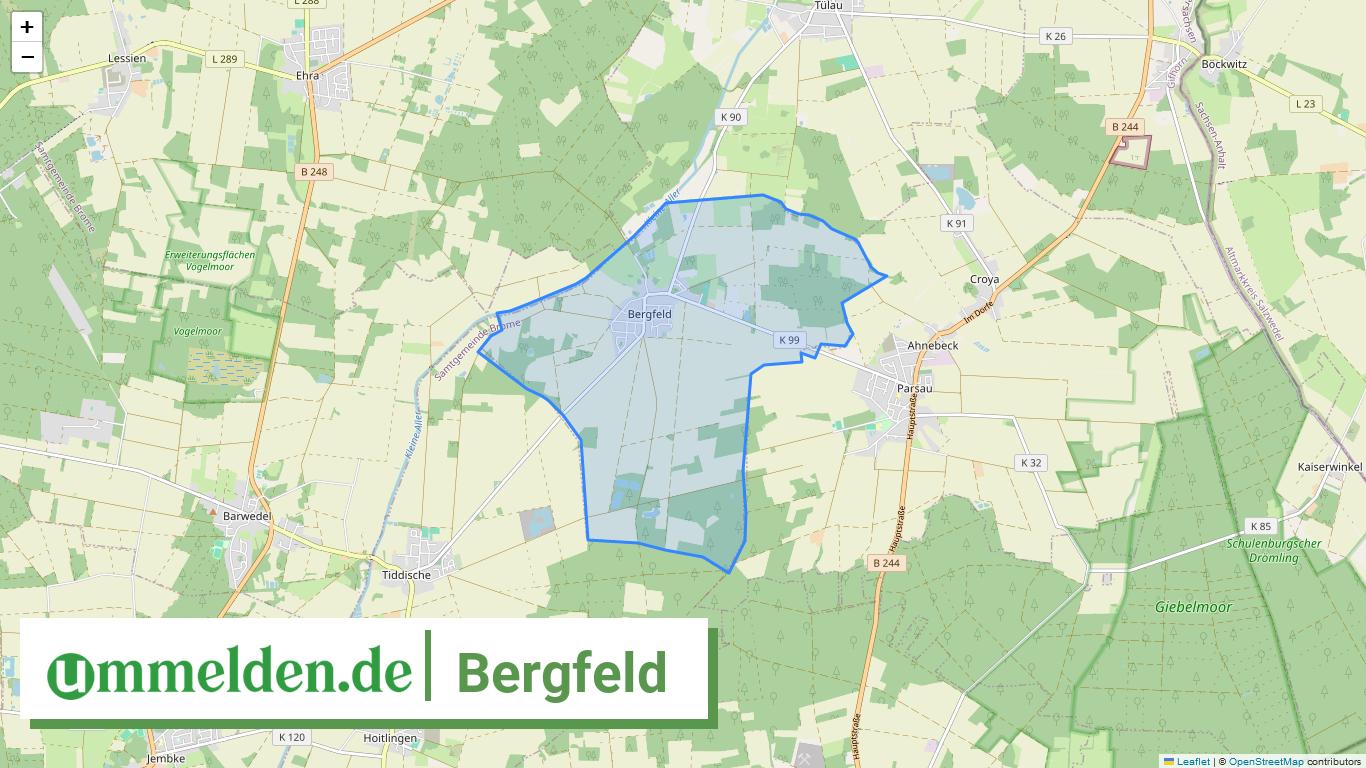 031515402003 Bergfeld