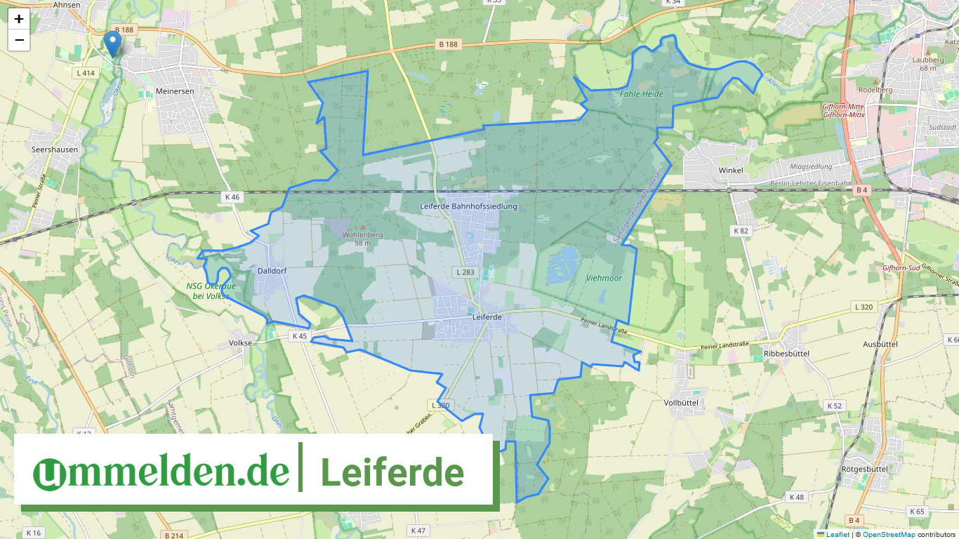 031515405015 Leiferde