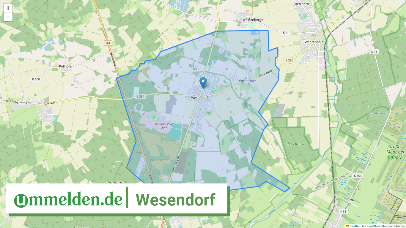 031515407038 Wesendorf