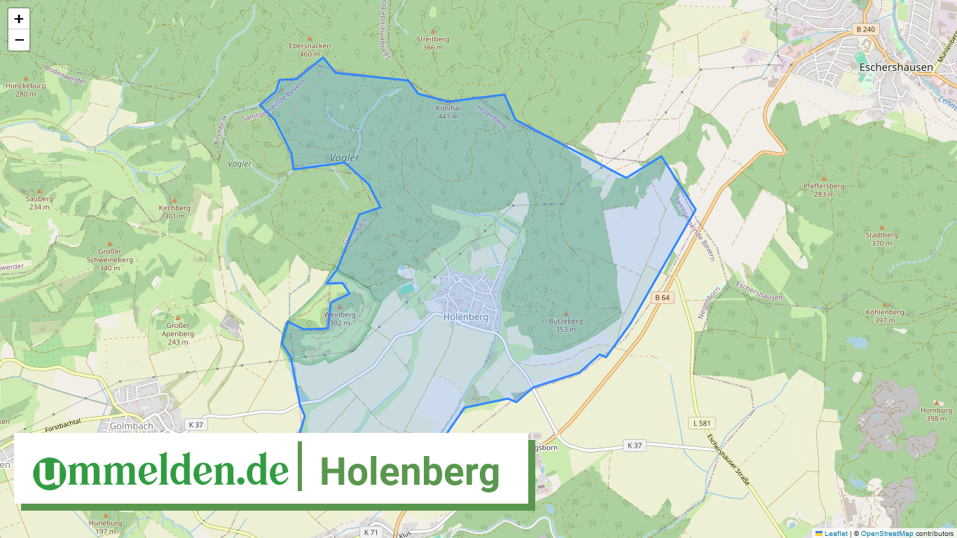 032555401021 Holenberg