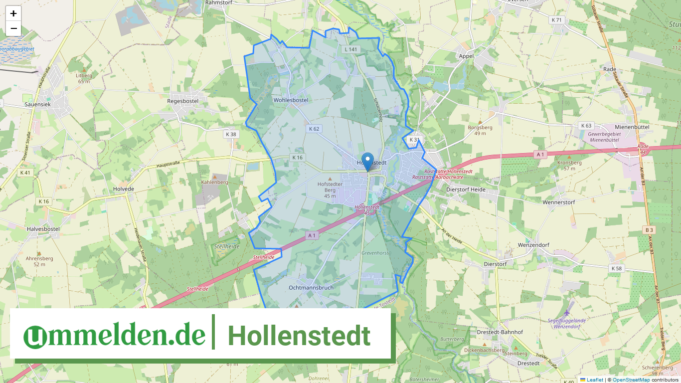 033535403019 Hollenstedt