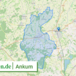 034595402002 Ankum