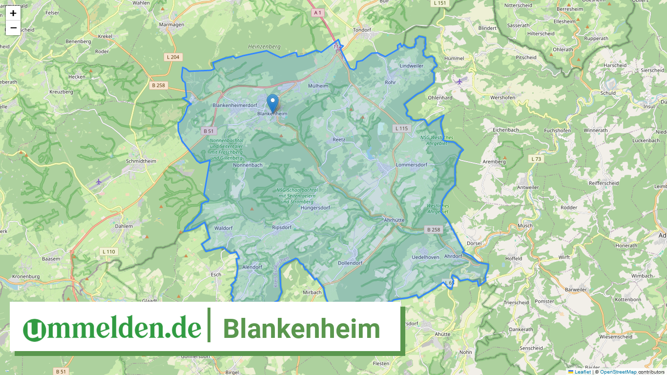 053660008008 Blankenheim