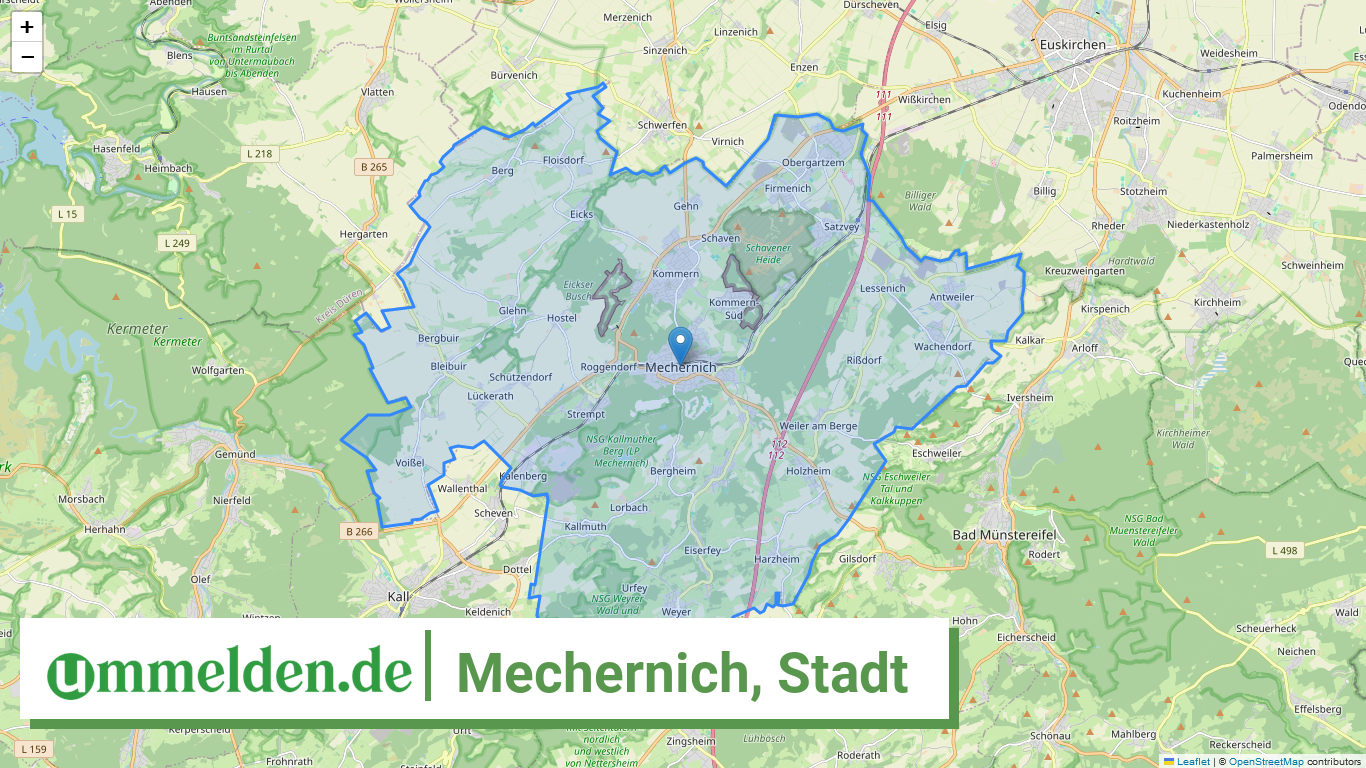 053660028028 Mechernich Stadt