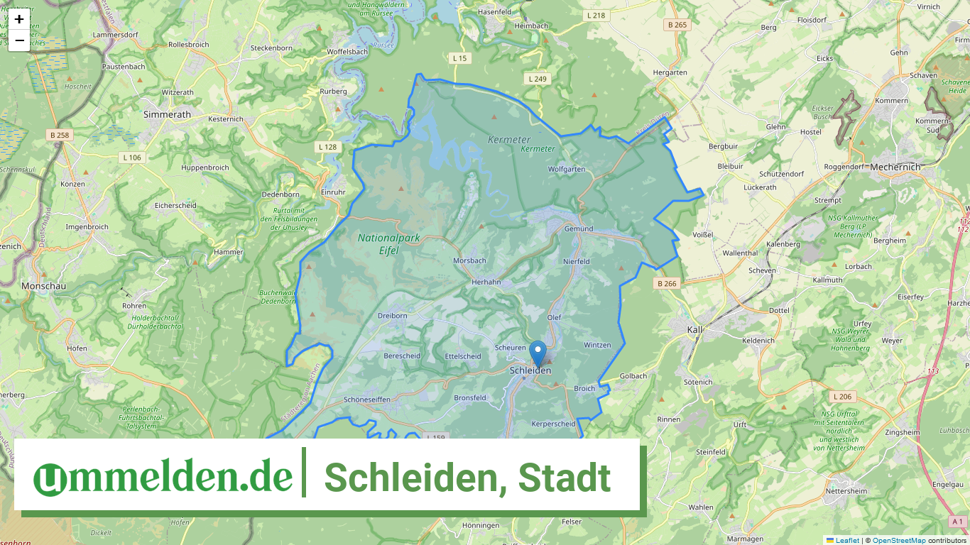 053660036036 Schleiden Stadt