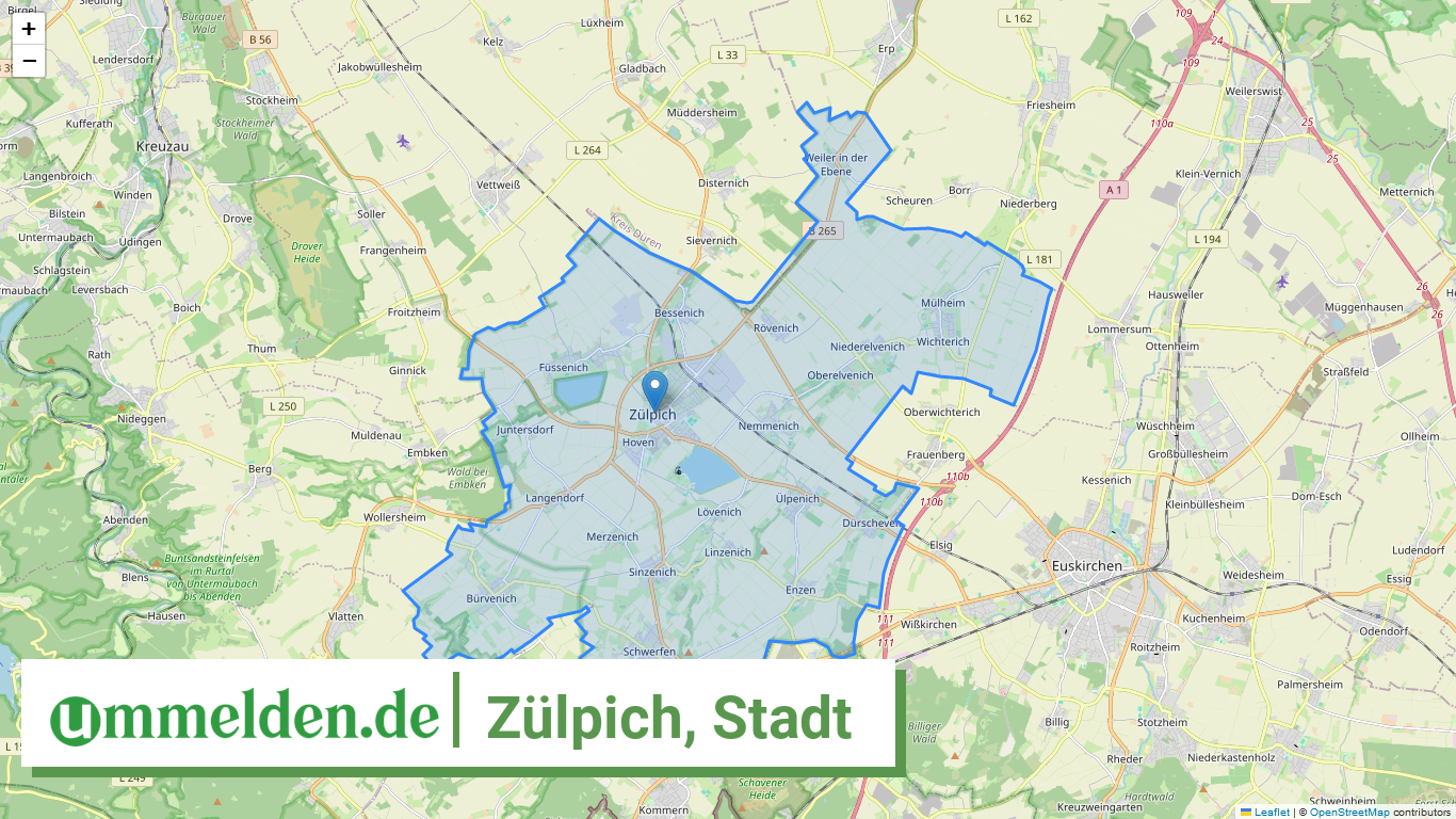 053660044044 Zuelpich Stadt