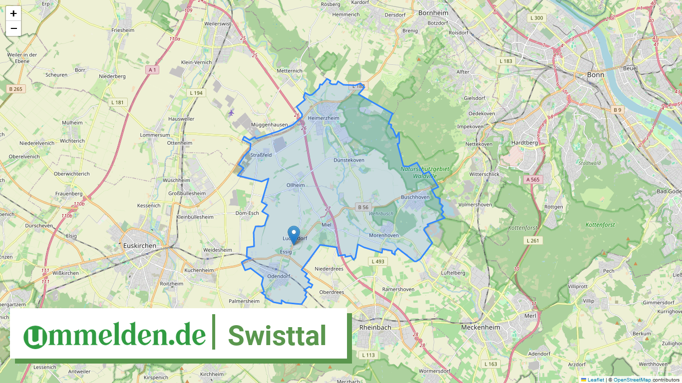 053820064064 Swisttal