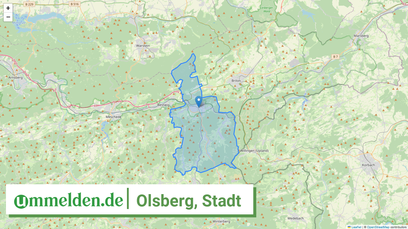 059580036036 Olsberg Stadt