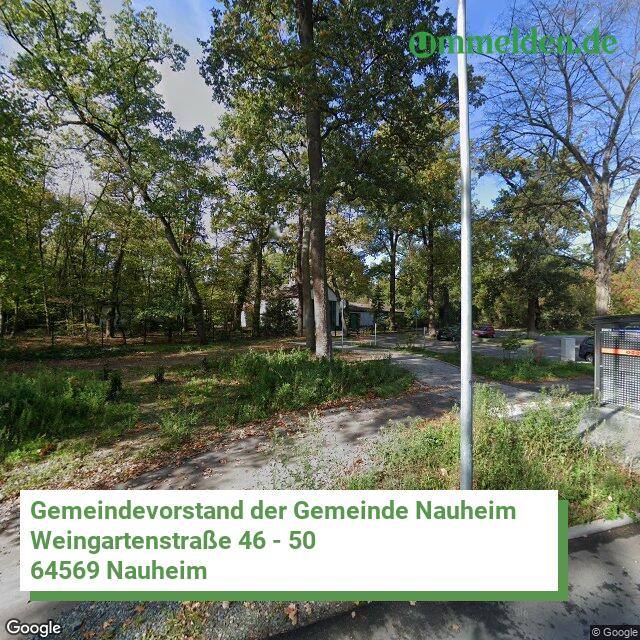 064330009009 streetview amt Nauheim