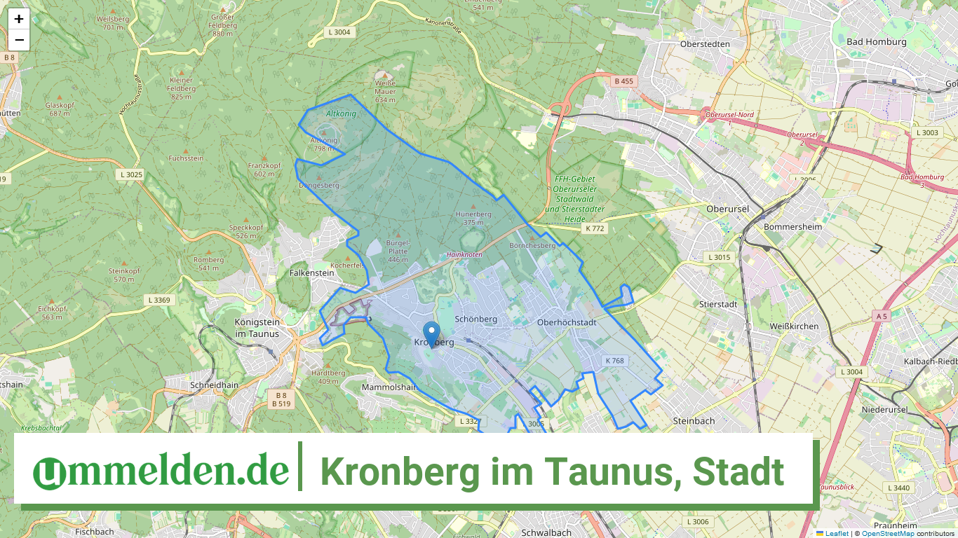 064340006006 Kronberg im Taunus Stadt