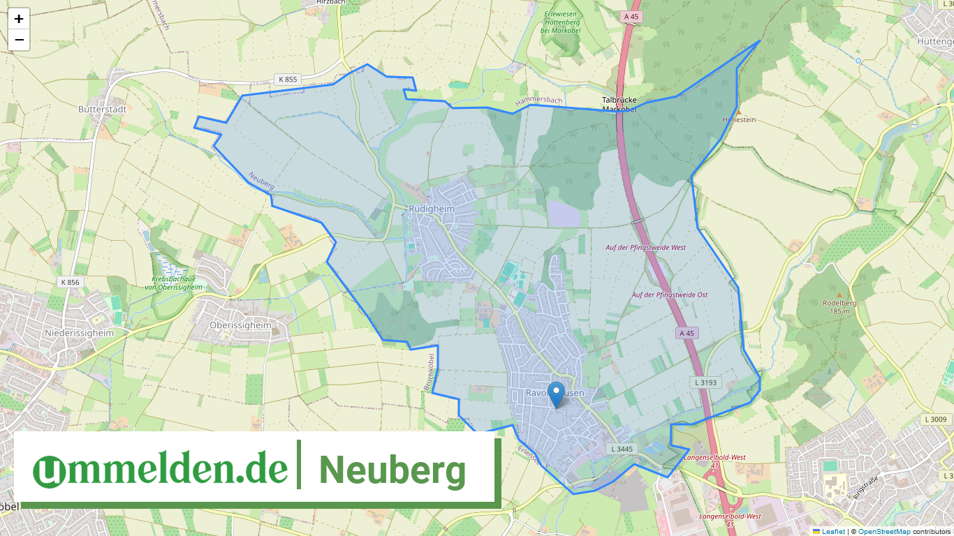 064350020020 Neuberg