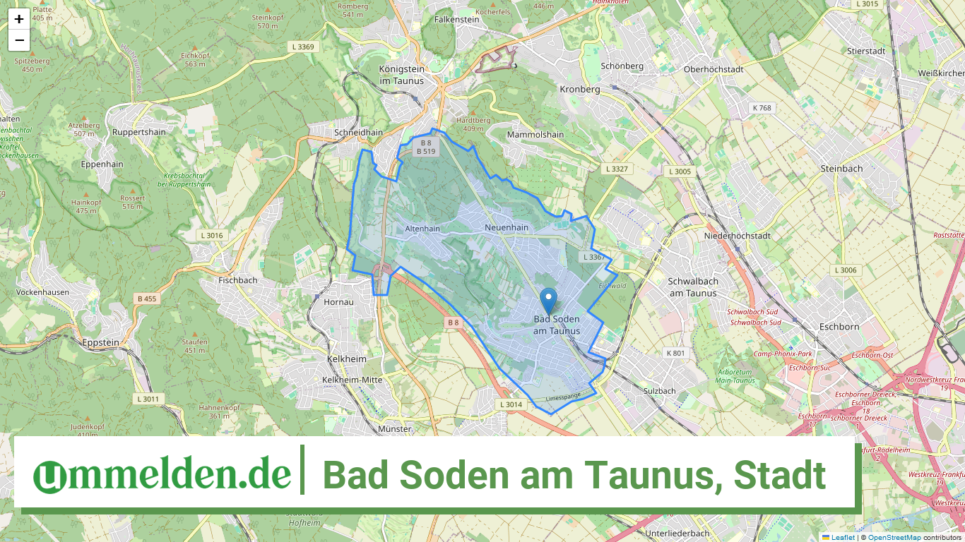 064360001001 Bad Soden am Taunus Stadt