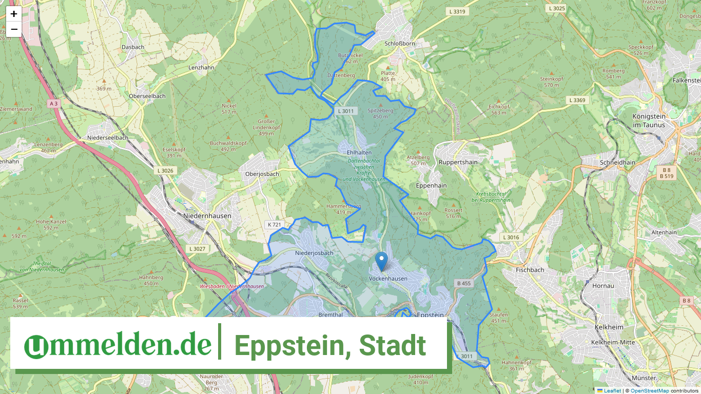 064360002002 Eppstein Stadt