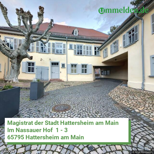 064360005005 streetview amt Hattersheim am Main Stadt