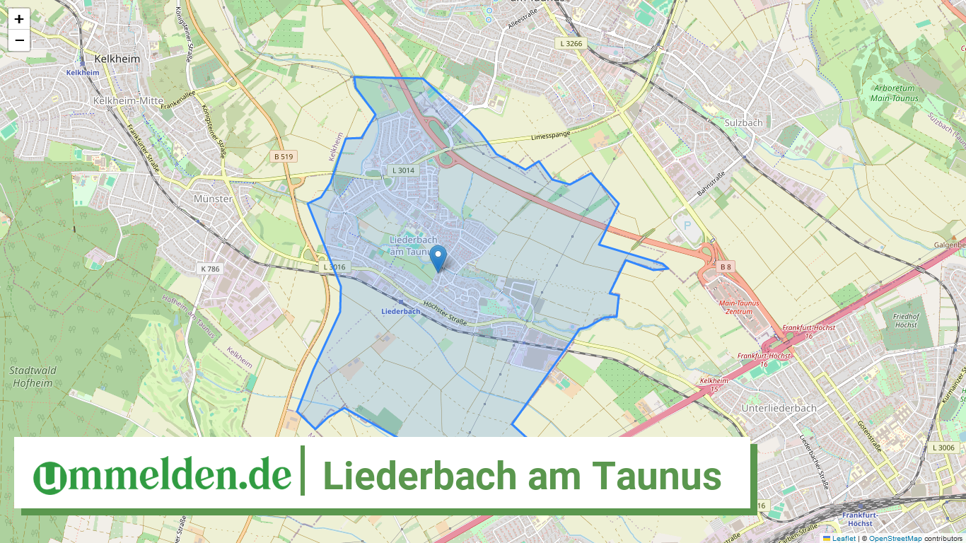 064360010010 Liederbach am Taunus