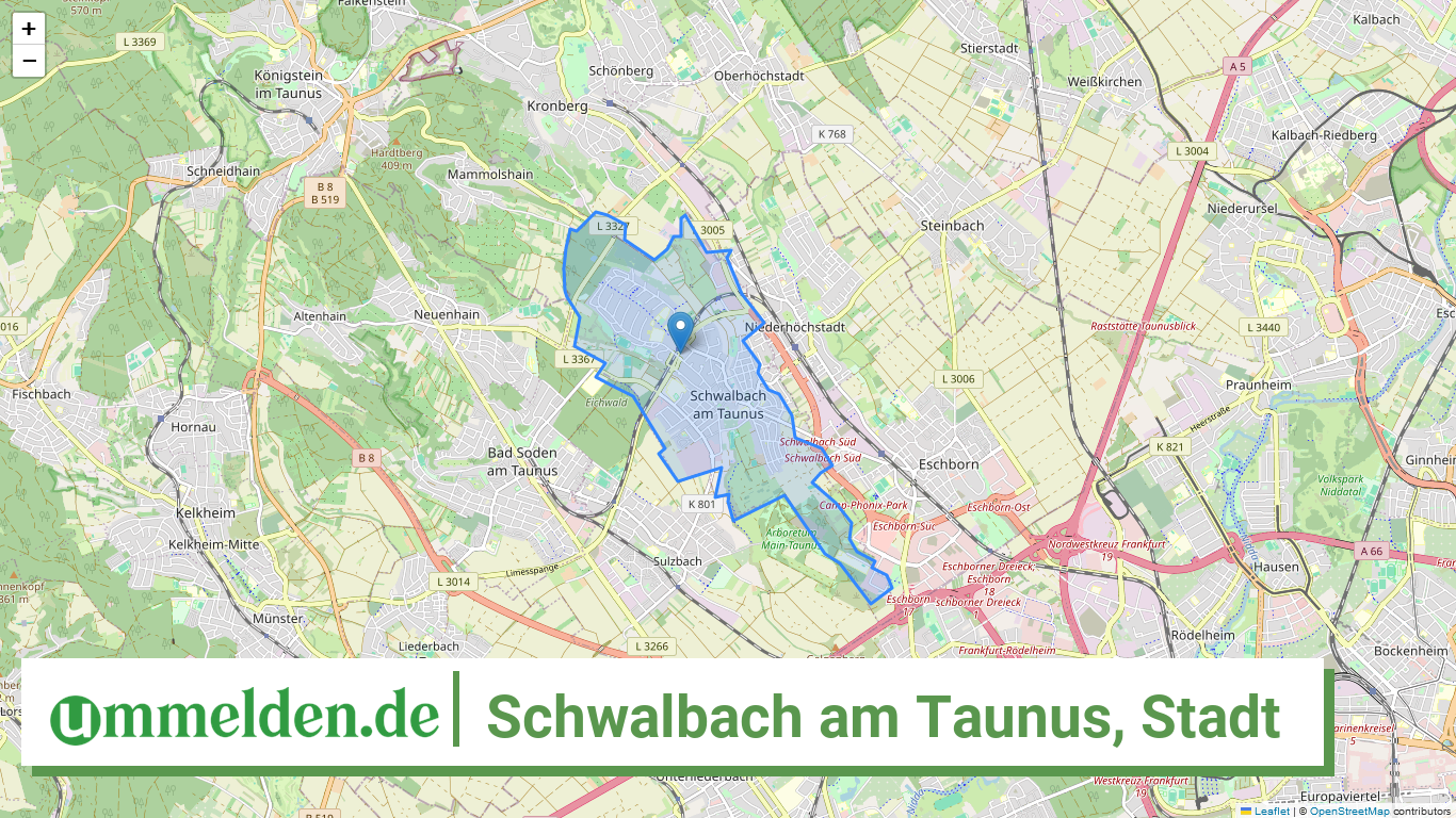 064360011011 Schwalbach am Taunus Stadt