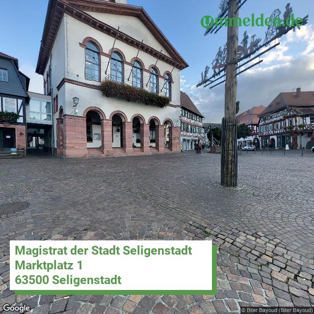 064380013013 streetview amt Seligenstadt Einhardstadt