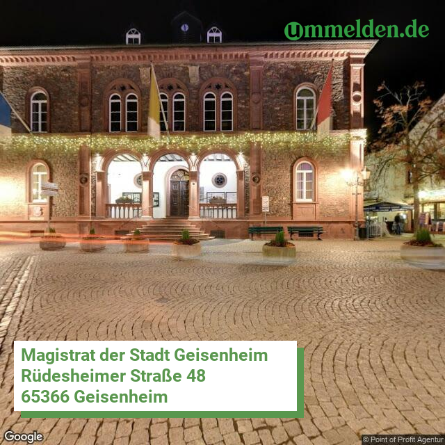 064390004004 streetview amt Geisenheim Hochschulstadt