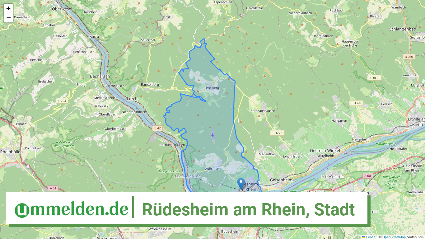 064390013013 Ruedesheim am Rhein Stadt