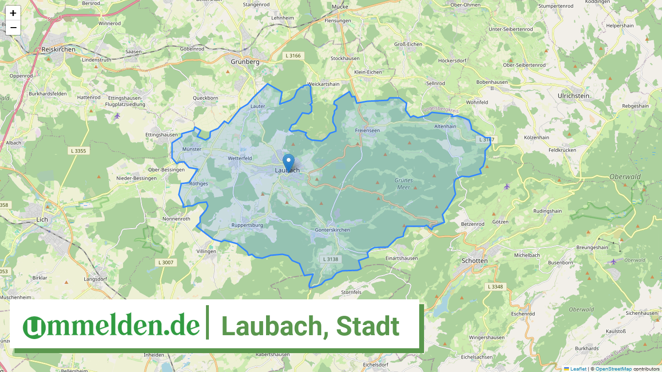 065310010010 Laubach Stadt