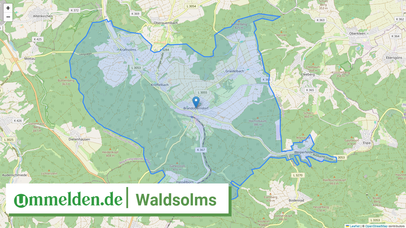 065320022022 Waldsolms