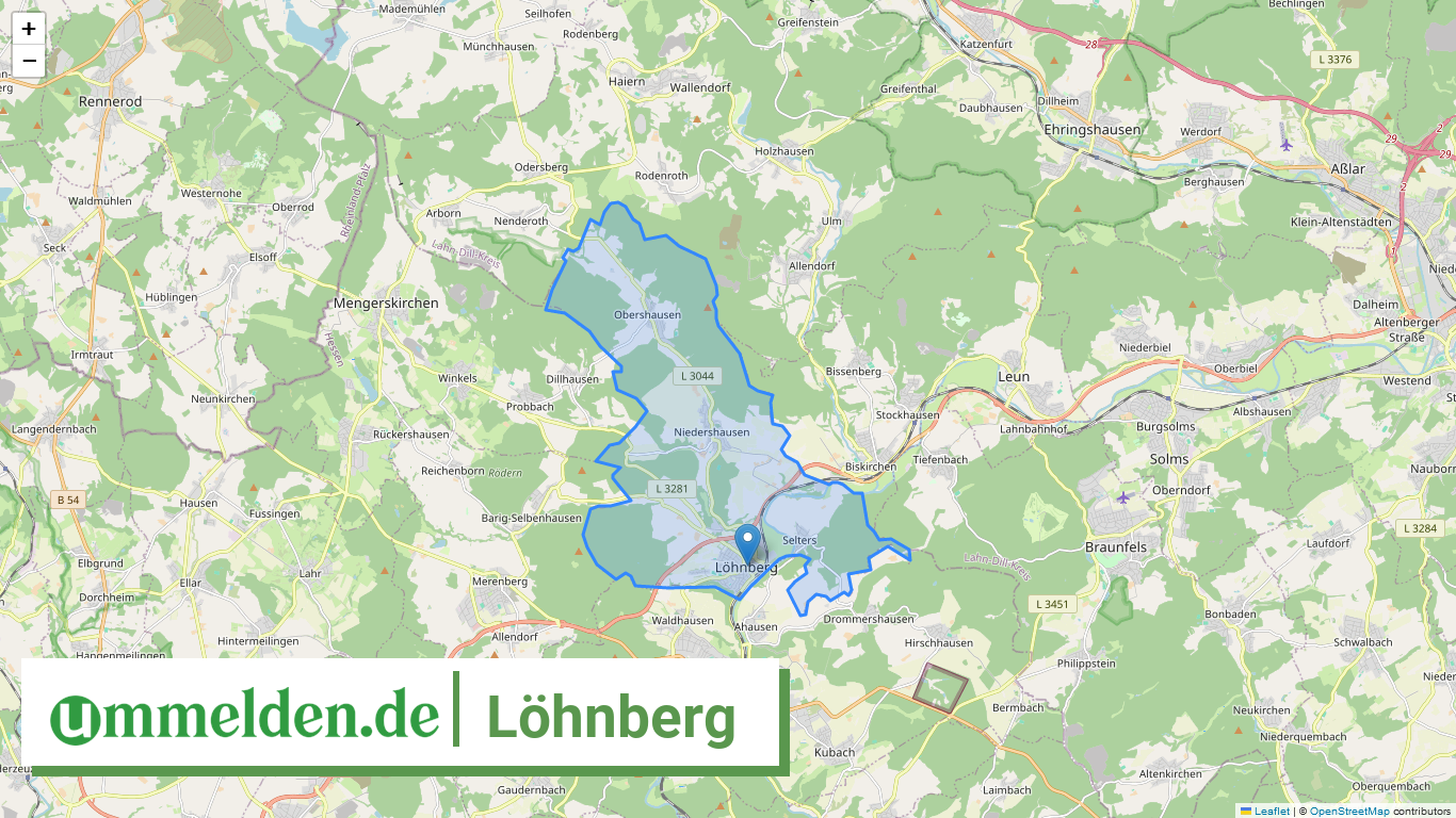 065330010010 Loehnberg