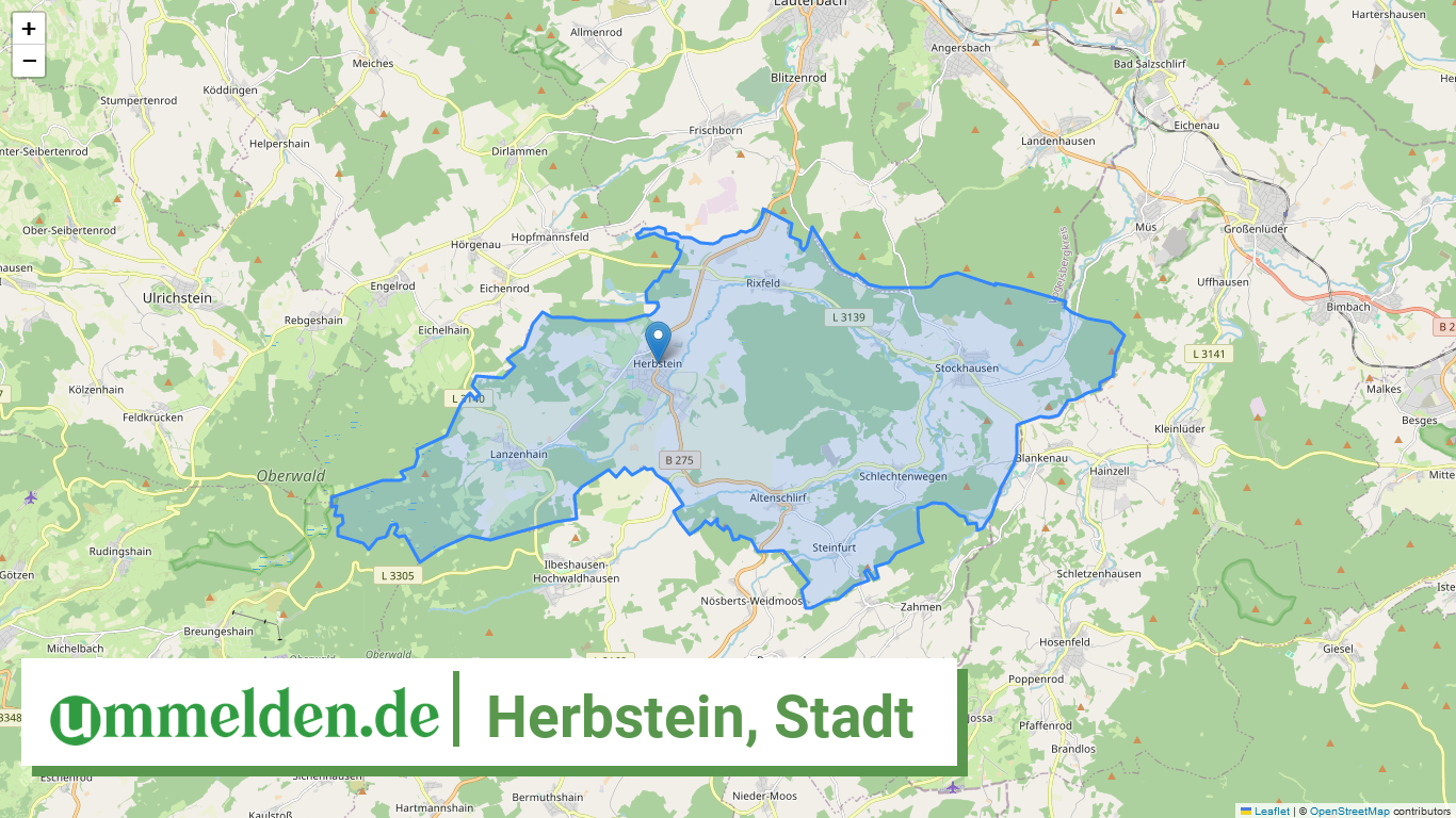 065350008008 Herbstein Stadt