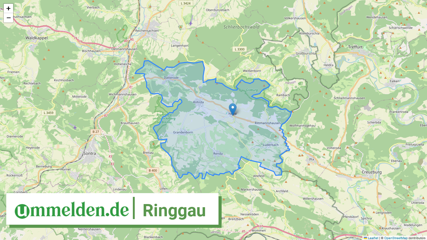 066360010010 Ringgau