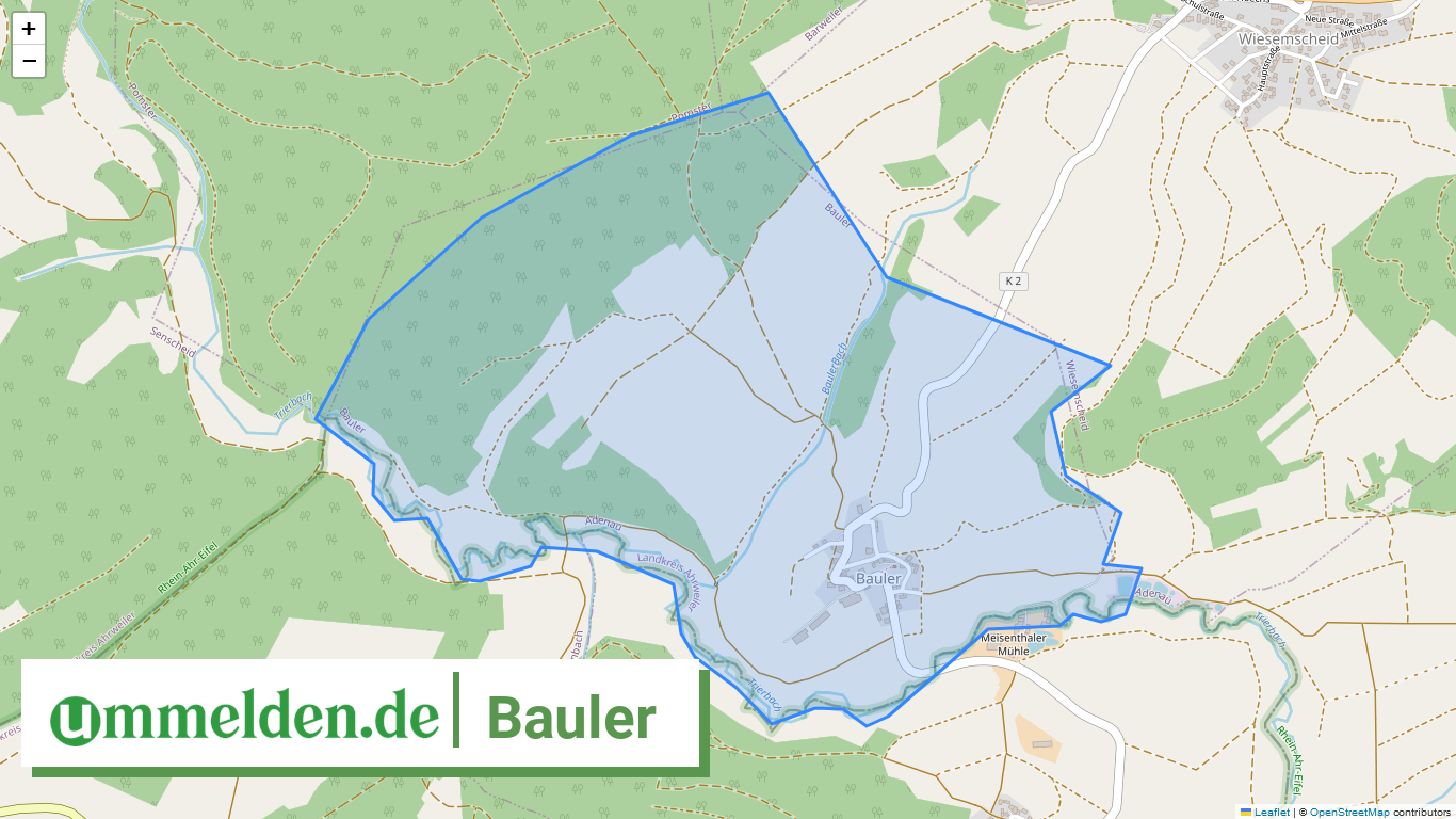 071315001009 Bauler