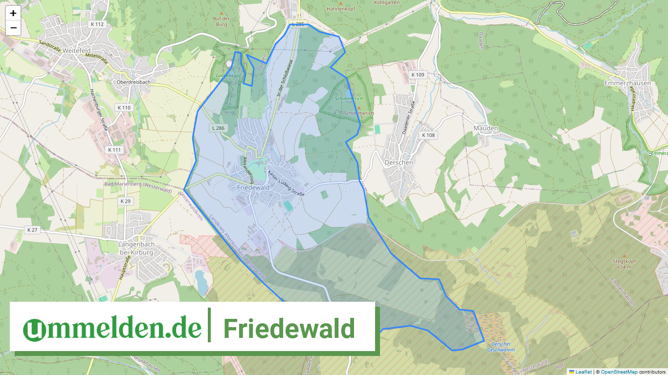 071325003036 Friedewald