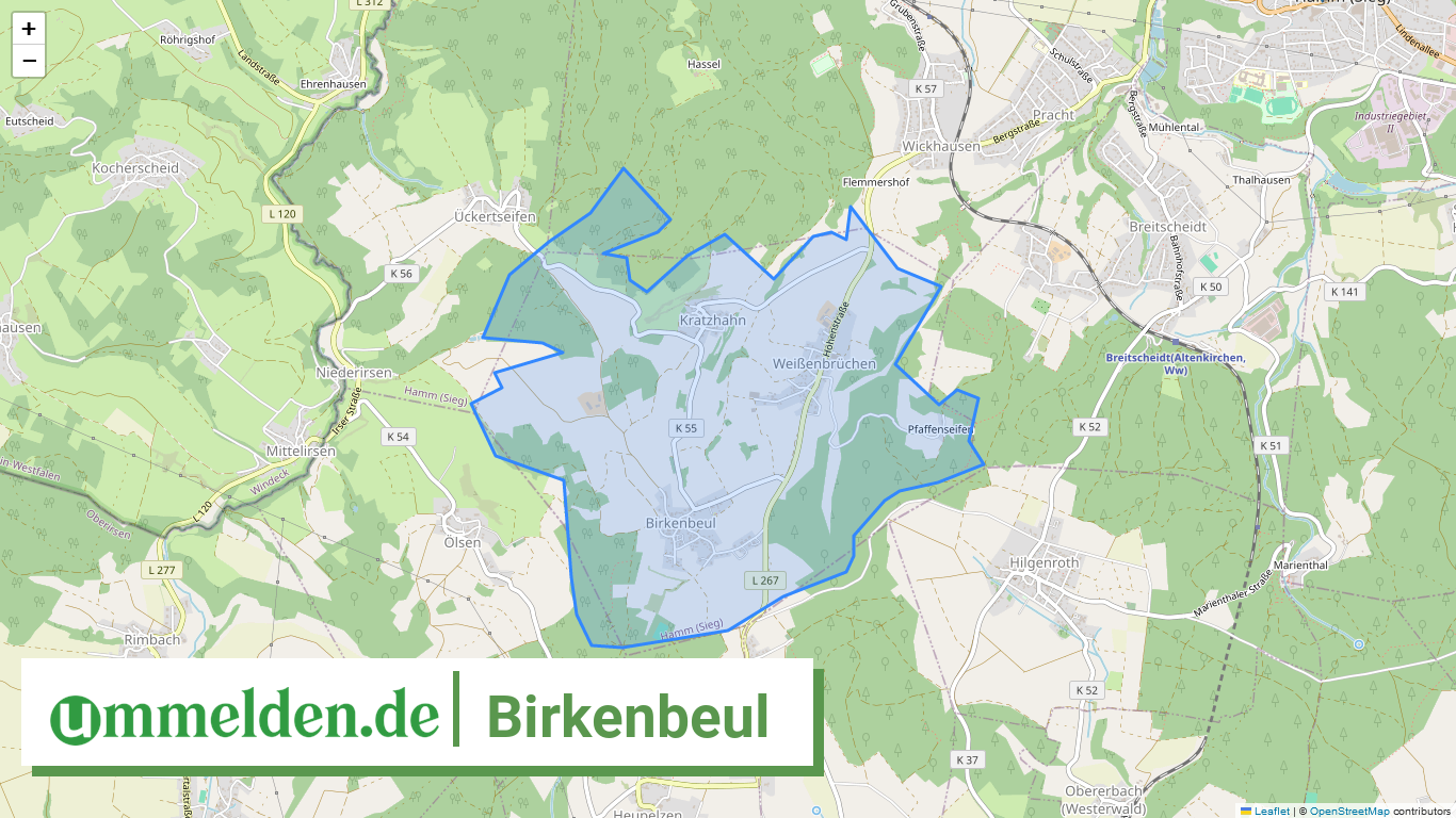 071325006007 Birkenbeul