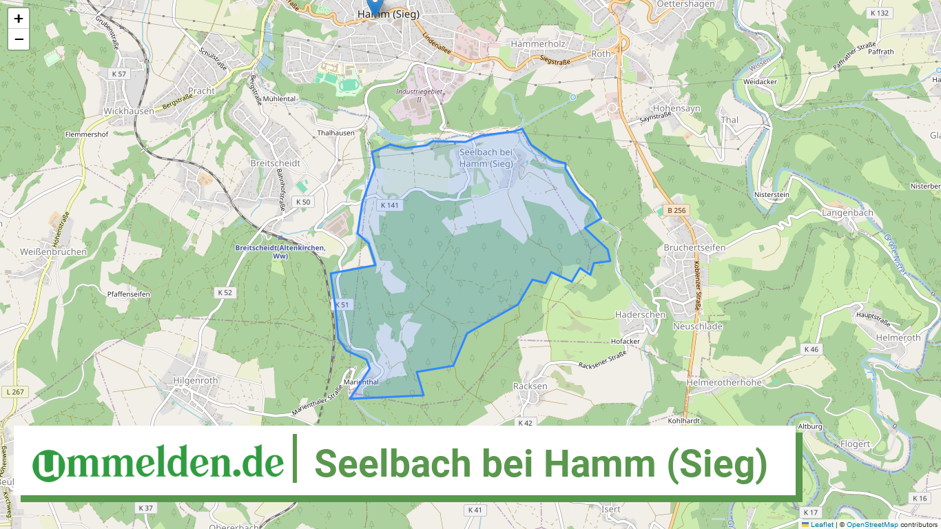 071325006102 Seelbach bei Hamm Sieg